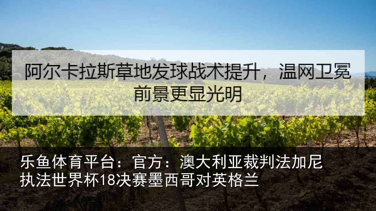 乐鱼体育平台:官方相关情况尼执相关情况哥对英格兰