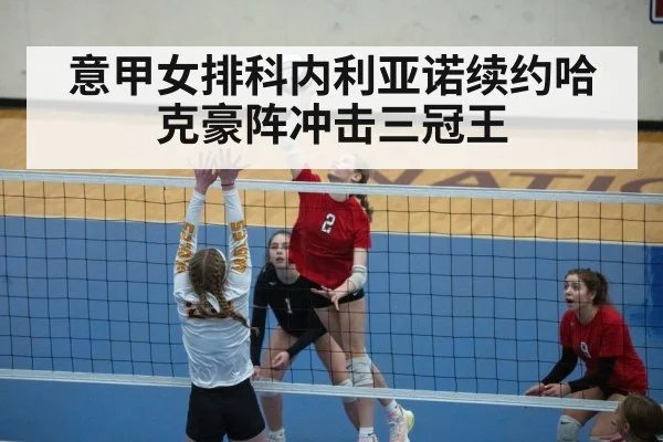 意甲女排科内利亚诺续约哈克豪阵冲击三冠王